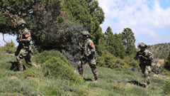 International Anatolian Phoenix-2025 Exercise was Successfully Completed 1 / 16  1 / 16