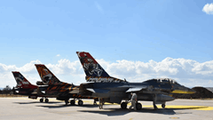  Exercise NATO Tiger Meet-2025 2 / 4  2 / 4