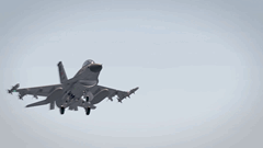 Millî Anadolu Kartalı-2025/2 Eğitimi Devam Ediyor 5 / 6  5 / 6