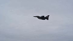 NEXUS ACE Training Has Been Conducted 4 / 4  4 / 4