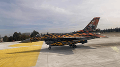 Integrated Air and Missile Defense Activity 4 / 5  4 / 5