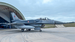 Participation in NATO Flexible Deterrence Training Activities 4 / 4  4 / 4